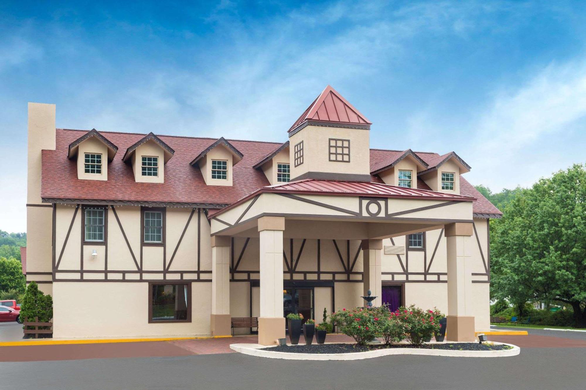 4 Central Hotels Near Black Forest Bear Park That Deliver